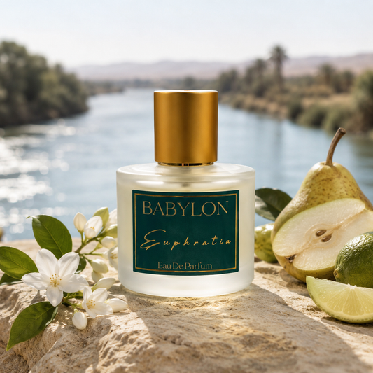 Euphratia